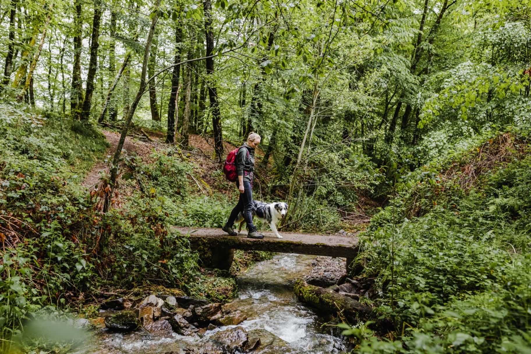 Randonneuse et son chien sur un sentier du Mullerthal