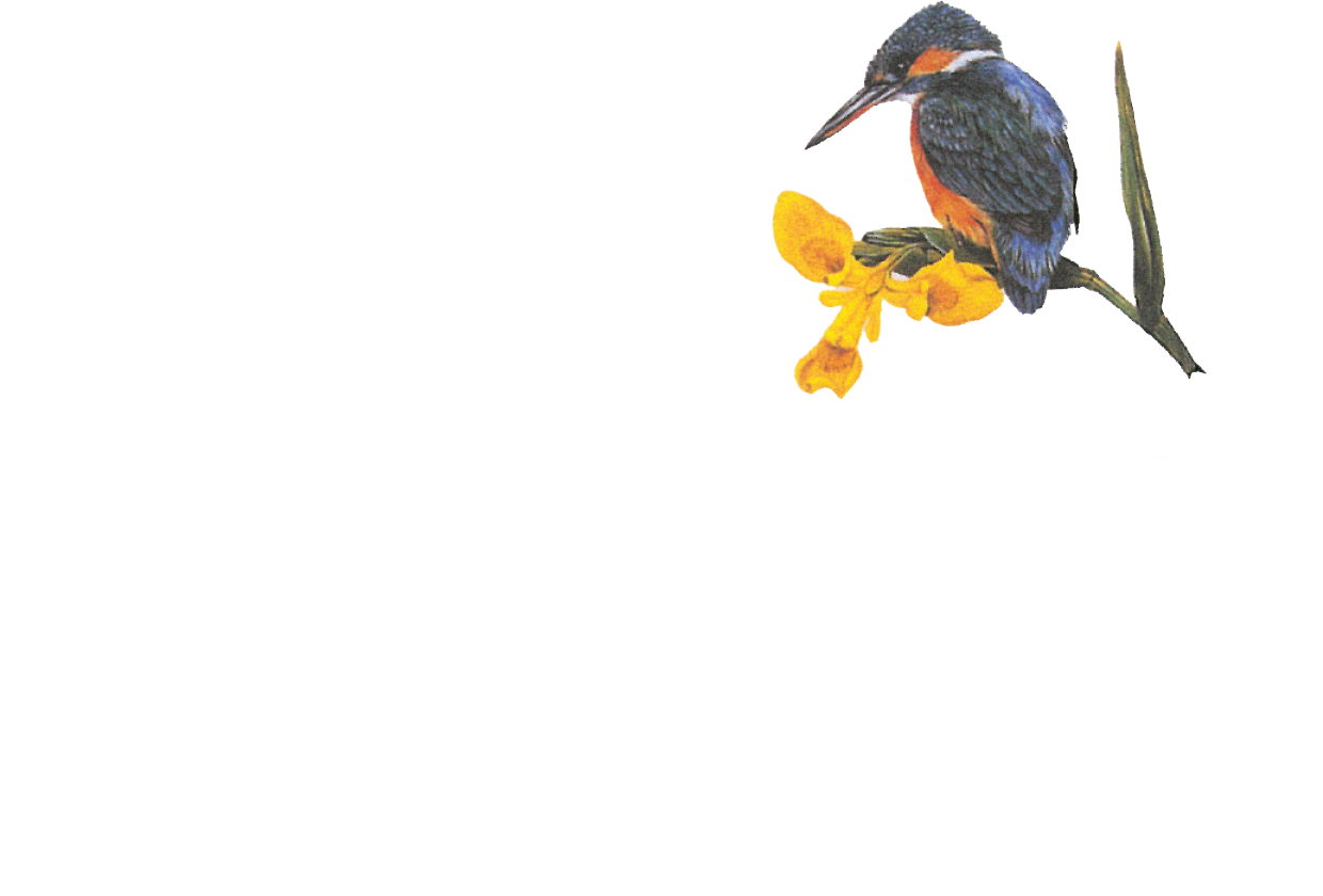 Hotel Brimer